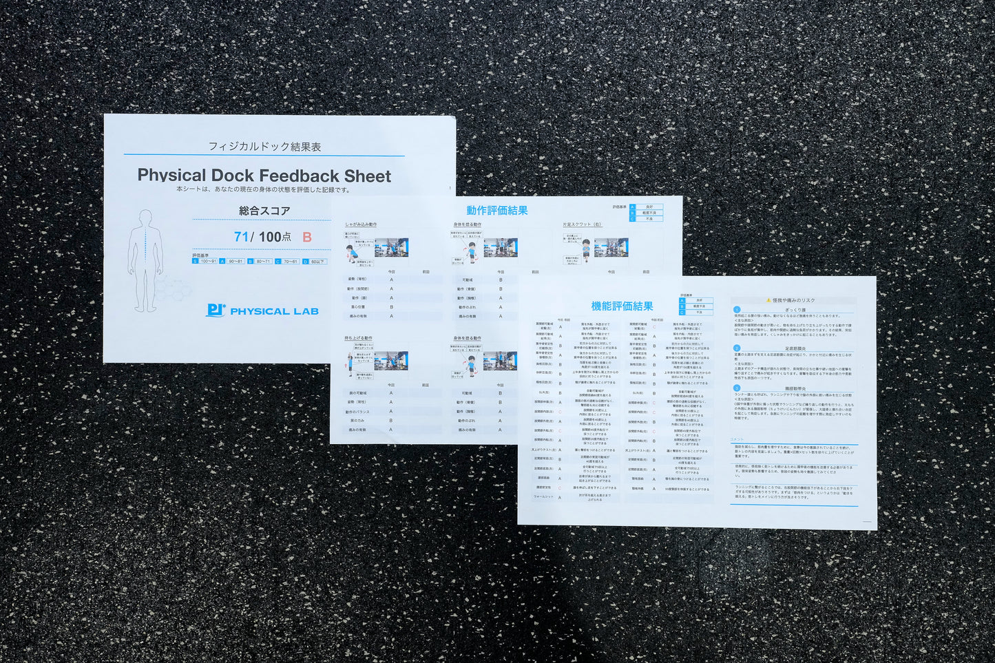 フィジカルドックギフトチケット