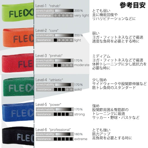 フレックスビット ミニループバンド(径)60cm