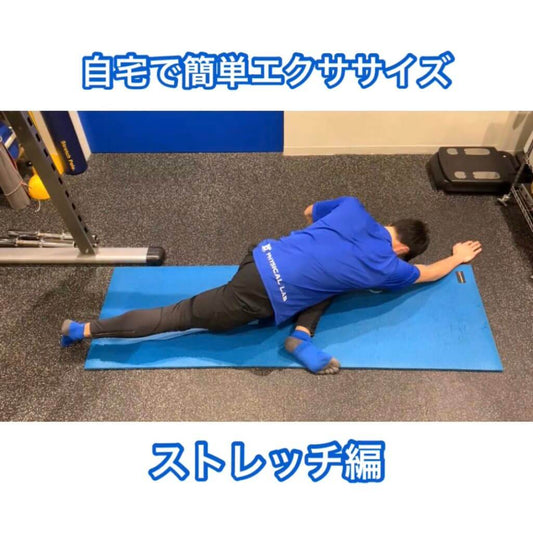 【運動不足解消エクササイズ】ストレッチ編